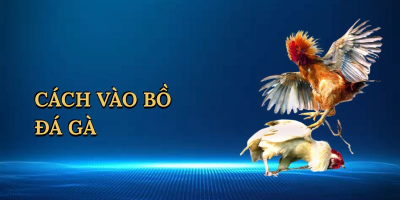 cach-vao-bo-da-ga-1