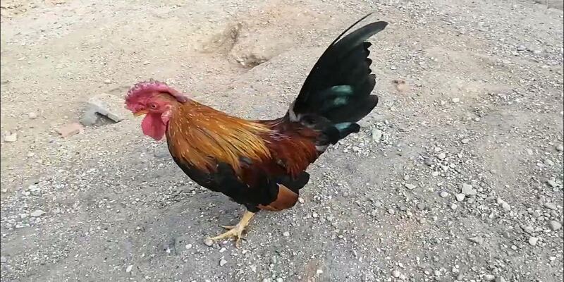 Cơ hội chơi thưởng khủng