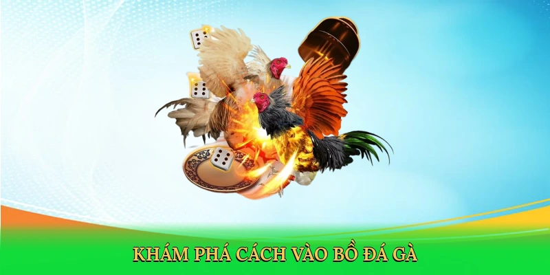 kham-pha-cach-vao-bo-da-ga-2