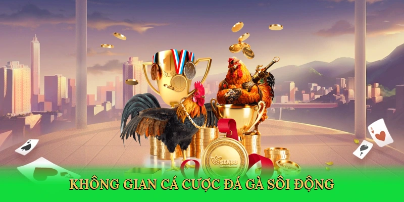 khong-gian-ca-cuoc-da-ga-soi-dong-3