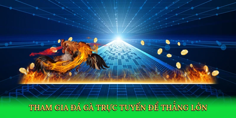 tham-gia-da-ga-truc-tuyen-de-thang-lon-3