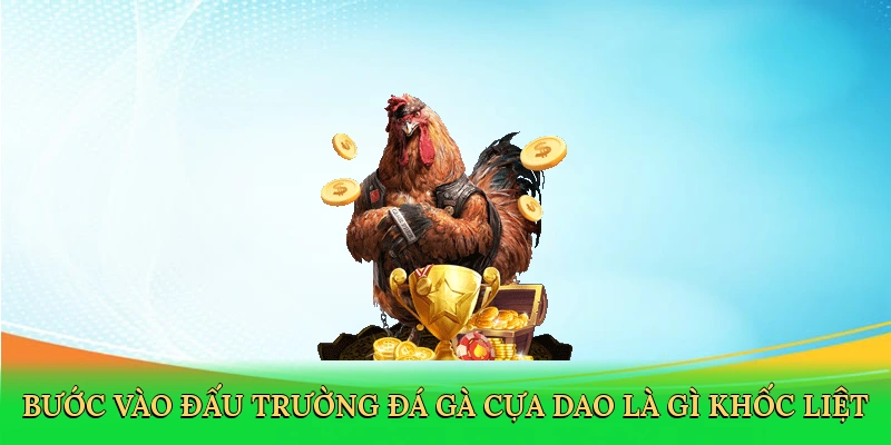 buoc-vao-dau-truong-da-ga-cua-dao-la-gi-khoc-liet-2