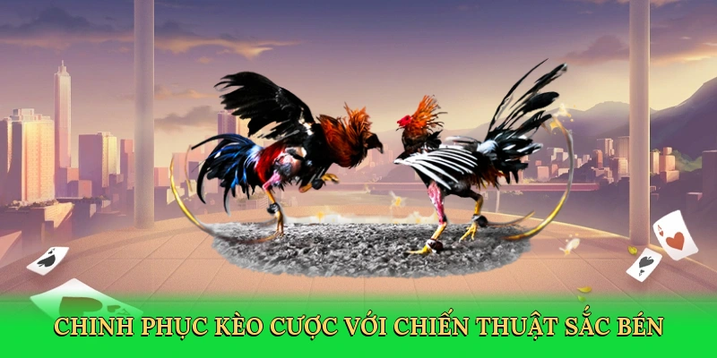 chinh-phuc-keo-cuoc-voi-chien-thuat-sac-ben-3