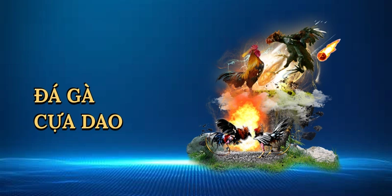da-ga-cua-dao-1