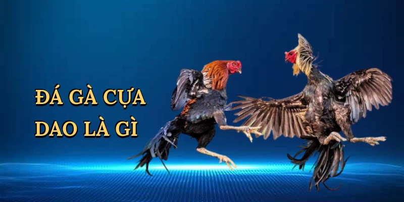 da-ga-cua-dao-la-gi-1