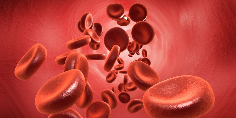 Giấc mơ thấy máu RED88