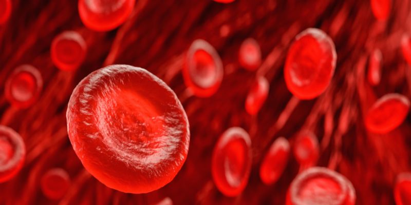 Giới thiệu đôi nét về giấc mơ thấy máu RED88