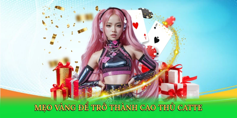 Mẹo vàng để trở thành cao thủ catte