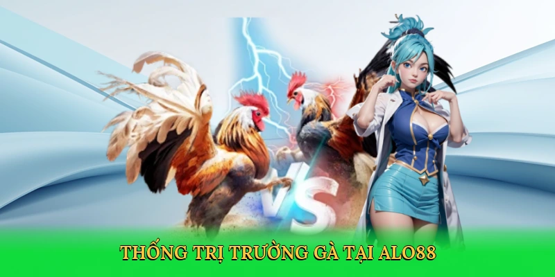 Thống trị trường gà tại ALO88