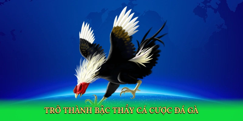 tro-thanh-bac-thay-ca-cuoc-da-ga-4