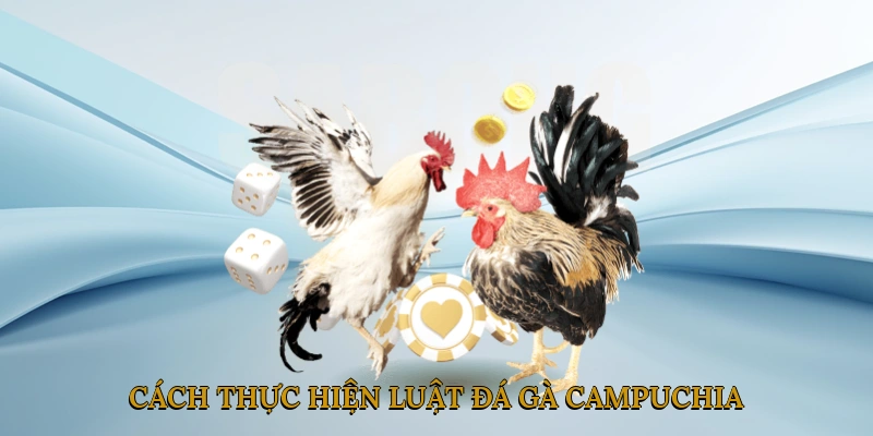 Cách Thực Hiện Luật Đá Gà Campuchia