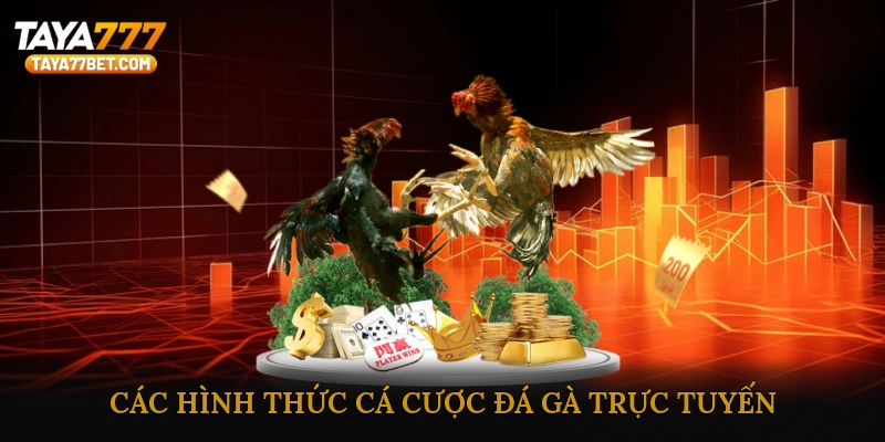 Các hình thức cá cược đá gà trực tuyến