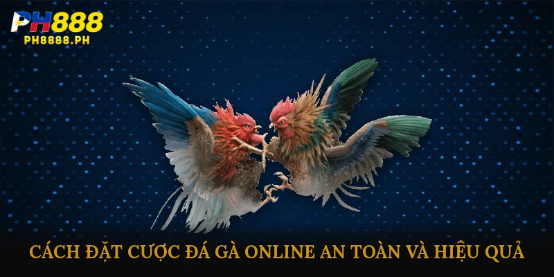 Cách đặt cược đá gà online an toàn và hiệu quả