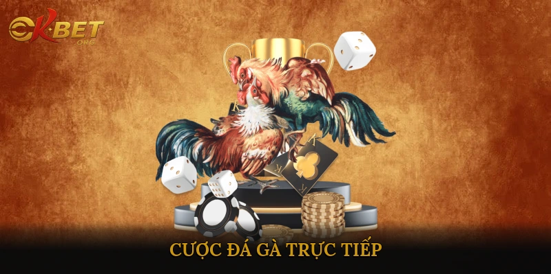 cược đá gà trực tiếp