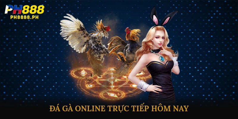 Đá gà online trực tiếp hôm nay