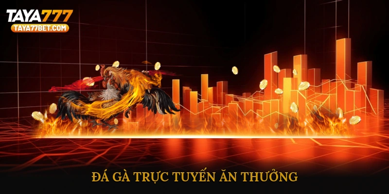 đá gà trực tuyến ăn thưởng