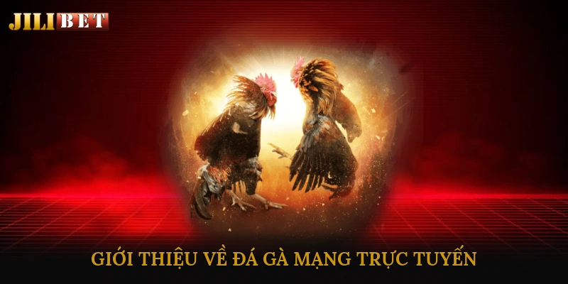 Giới thiệu về đá gà mạng trực tuyến