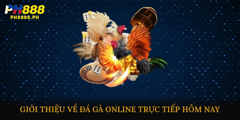 Giới thiệu về đá gà online trực tiếp hôm nay