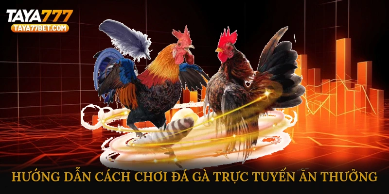 Hướng dẫn cách chơi đá gà trực tuyến ăn thưởng