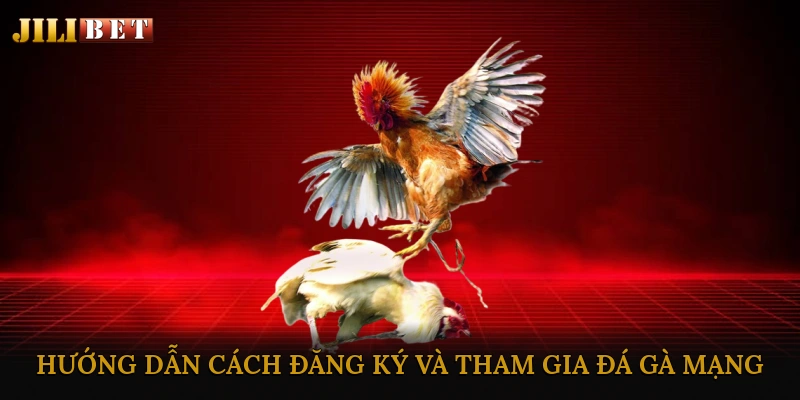 Hướng dẫn cách đăng ký và tham gia đá gà mạng