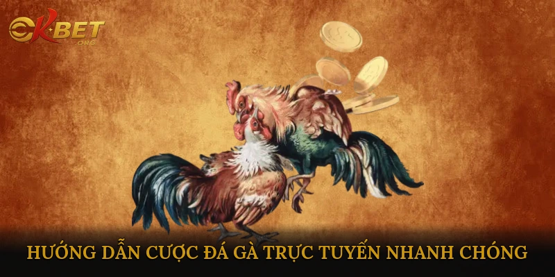 Hướng dẫn cược đá gà trực tuyến nhanh chóng