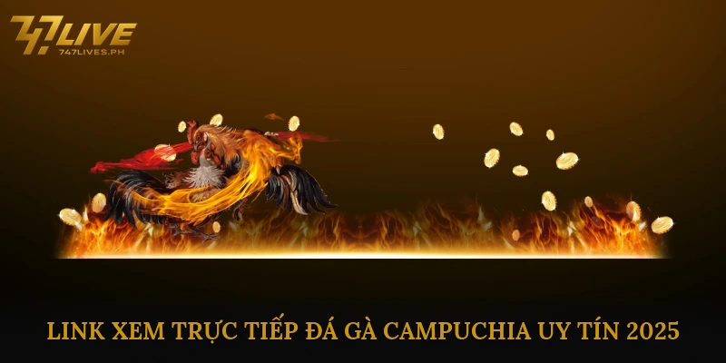 Link xem trực tiếp đá gà Campuchia uy tín 2025