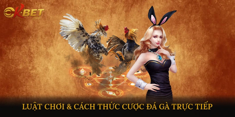 Luật chơi & cách thức cược đá gà trực tiếp