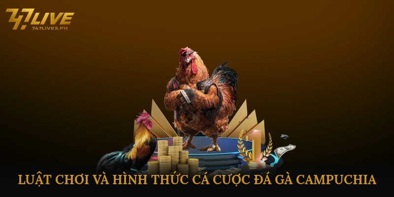 Luật chơi và hình thức cá cược đá gà Campuchia