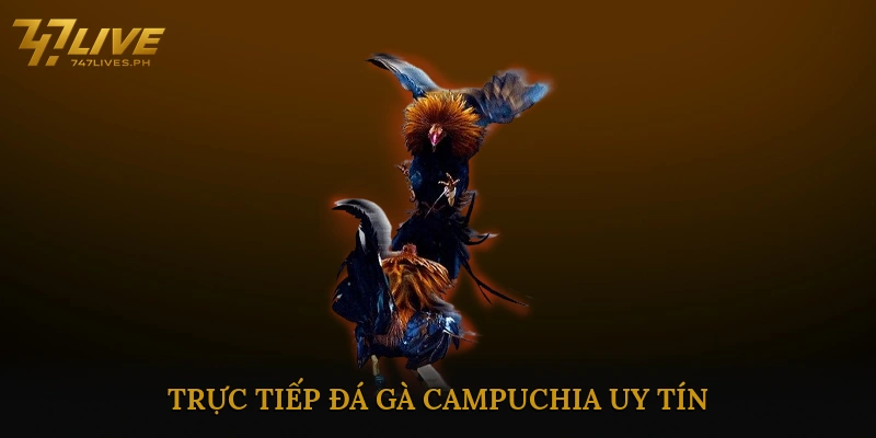 trực tiếp đá gà Campuchia uy tín