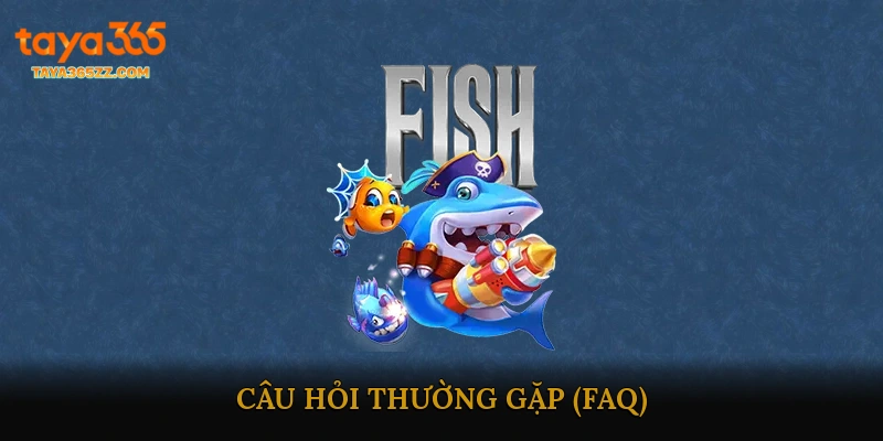 Câu hỏi thường gặp (FAQ)