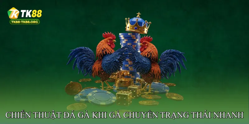 Chiến Thuật Đá Gà Khi Gà Chuyển Trạng Thái Nhanh