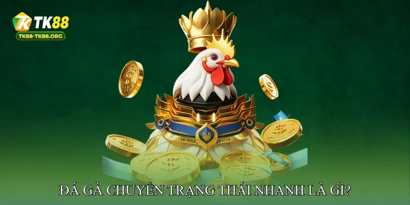 Đá Gà Chuyển Trạng Thái Nhanh Là Gì?