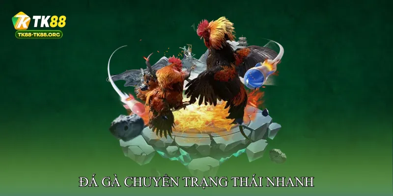 Đá Gà Chuyển Trạng Thái Nhanh