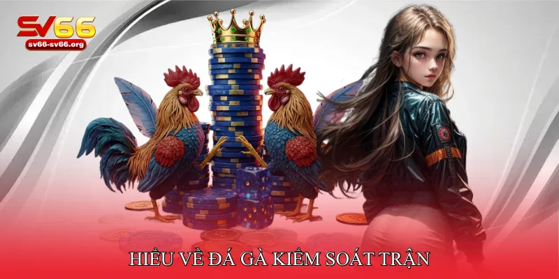 Hiểu về đá gà kiểm soát trận