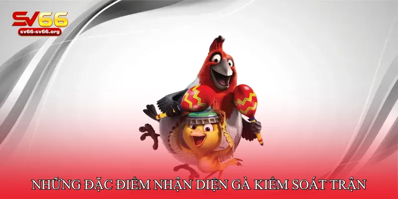 Những đặc điểm nhận diện gà kiểm soát trận