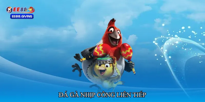 Đá gà nhịp công liên tiếp