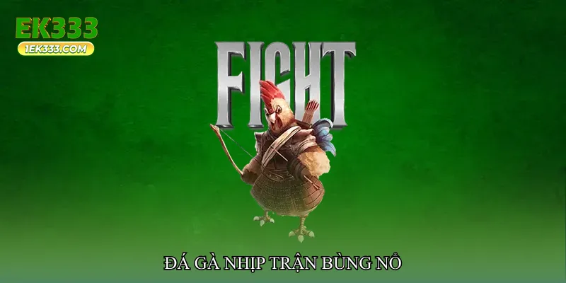 Đá gà nhịp trận bùng nổ