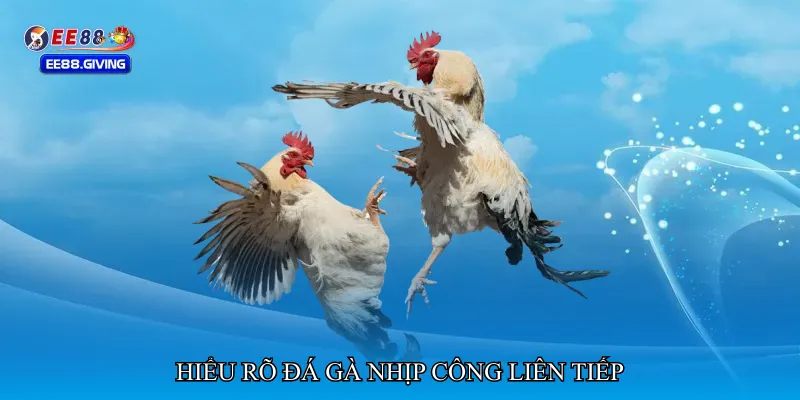 Hiểu rõ Đá gà nhịp công liên tiếp