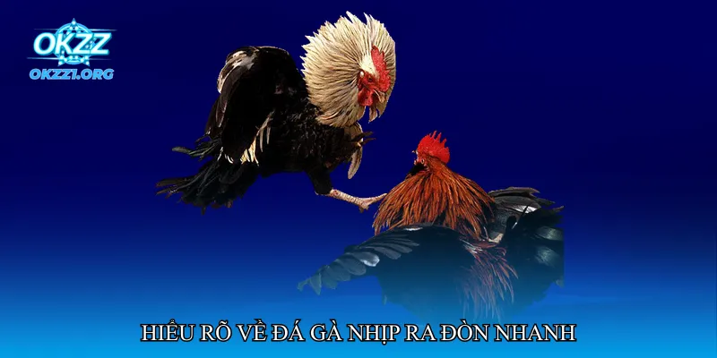 Hiểu rõ về đá gà nhịp ra đòn nhanh