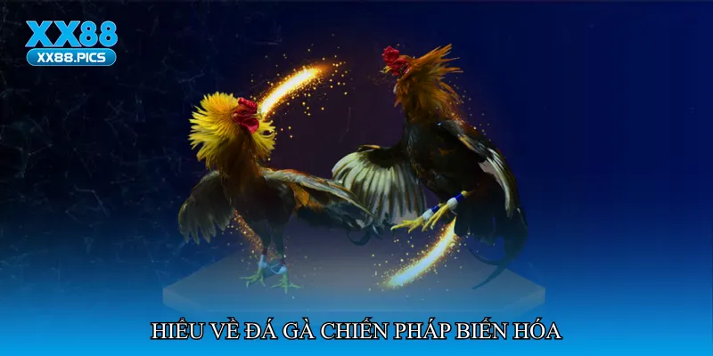 Hiểu về đá gà chiến pháp biến hóa
