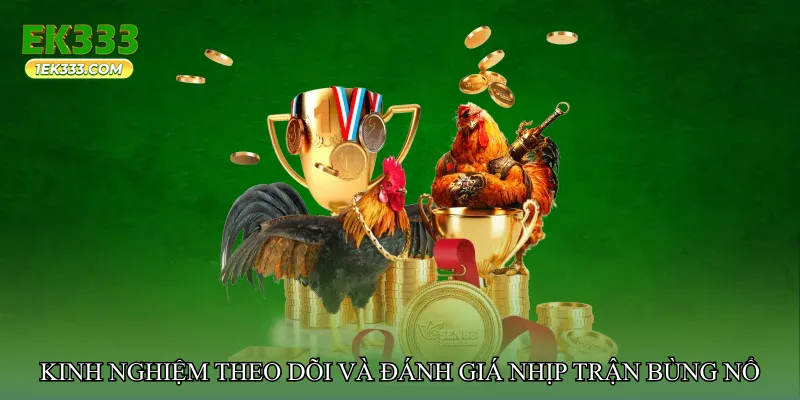 Kinh nghiệm theo dõi và đánh giá trận đá gà nhịp trận bùng nổ