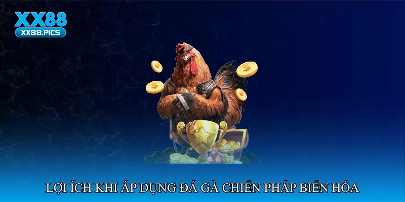 Lợi ích khi áp dụng đá gà chiến pháp biến hóa